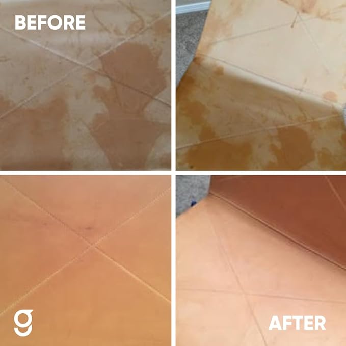 Geist. Aniline Water Stain Remover | Dissolves and disperses Water Stains Without rubbing | 500 ml / 17 fl.oz