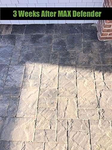 MAX Defender Ready-to-Use Outdoor Cleaner | Eliminates Stains from Mildew, Algae & Lichen | Multi-Surface Cleaner for Decks, Patios, Driveways, Siding, Concrete, Vinyl, Wood, Fences & Outdoor Surfaces