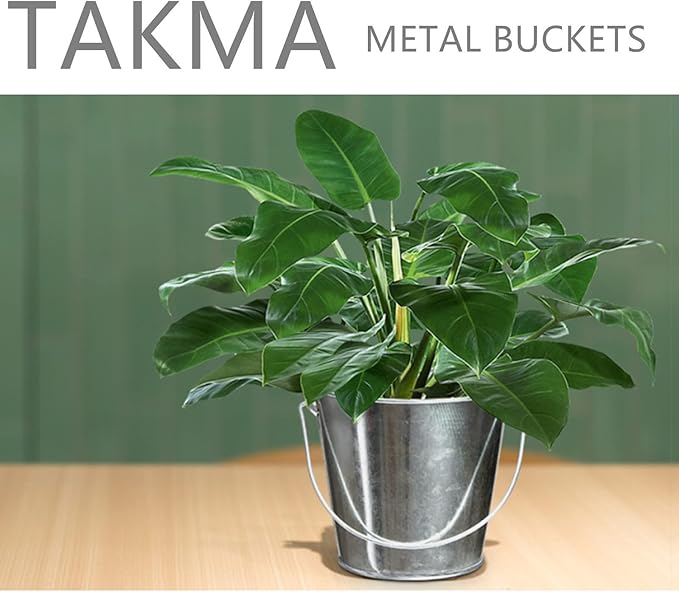 Galvanized Tin Metal Buckets with Handle, 6 Pack 5.91 Inch Iron Pail, Easter Bucket,Pencil Holder and Flower Pots,Craft Supply Holders for Events,School Storage and Party (Silver)