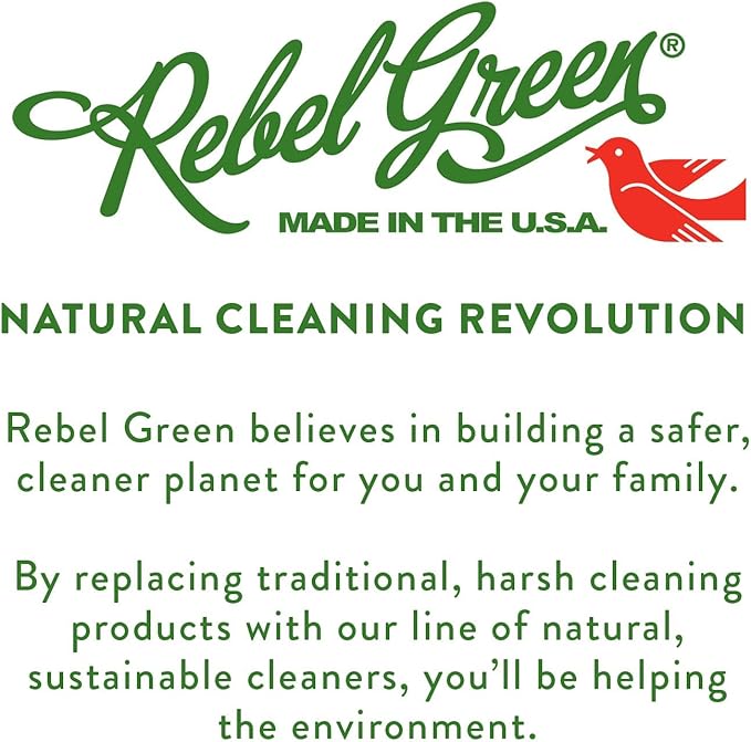 Rebel Green Super Deluxe Dish Soap - Plant-Based Sustainable Dishwashing Soap - Peppermint & Lemon Scent - 16 fl oz - 2 Pack