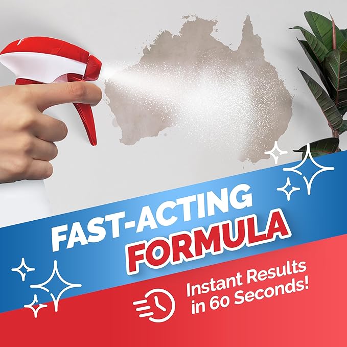 Stain Remover - 4 Pack REFILL (No Bottle) - Indoor/Outdoor Ceiling, Wall, Bathroom, Roof, PVC Fences, Patio Furniture, Vinyl Siding, Concrete & More