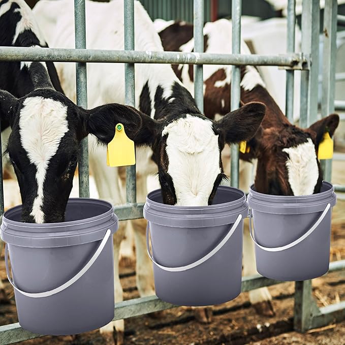 Gerrii 10 Pack Gray 1 Gallon Plastic Bucket with Handle and Lid Food Storage Bucket Containers All Purpose Pail for Paint Water Art Crafts Projects Garage Organization