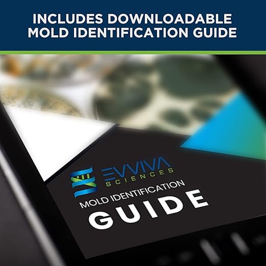Evviva Sciences Mold Test Kit for Home - 10 Easy Detection Tests w/Optional Lab Analysis (Extra Fee), Test HVAC System, Surfaces, & Indoor Air Quality Testing Kit - Downloadable Mold Information Guide