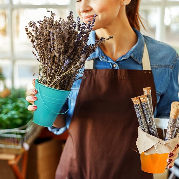 Sadnyy 12 Pack Metal Buckets with Handle, Galvanized Bucket 4.5 x 5 Inch Basket Bucket Party Supplies, Crafts for Christmas Halloween Candy Bars Vase Crafts(Multicolored)