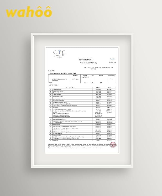 LANON wahoo Skin-Friendly Cleaning Gloves, Unlined Dishwashing Rubber Gloves, Kitchen, Non-Slip, Surf Spray, Medium