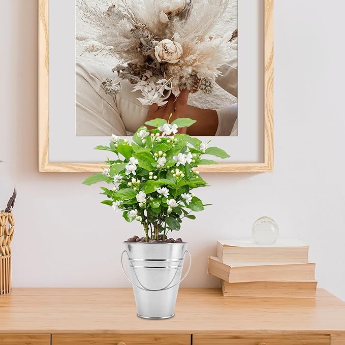 SINJEUN 40 Pack 4.5 x 5 Inch Galvanized Metal Buckets, Silver Metallic Pails with Handle, Mini Tinplate Tin Pails for Craft, Ice, Candy Snack, Flower Decoration