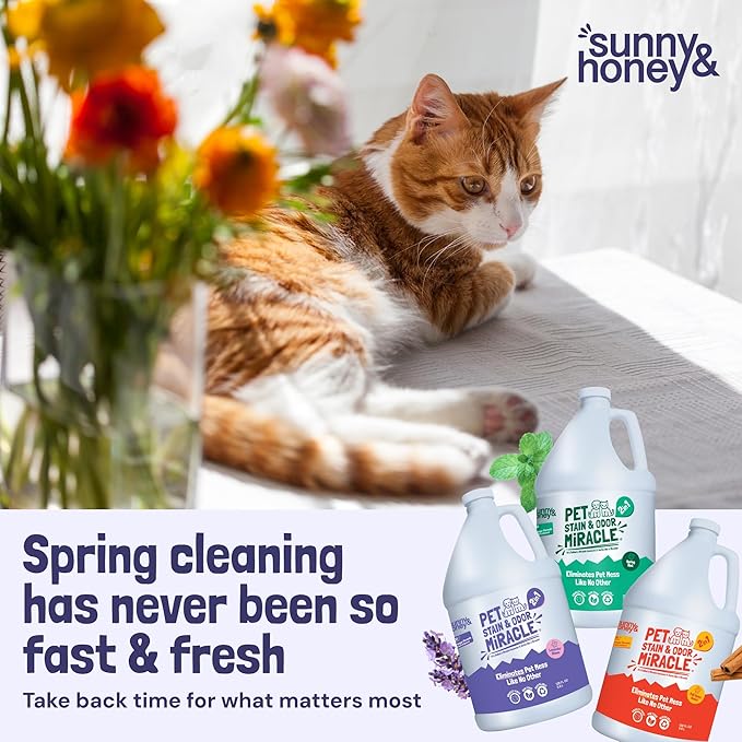 Sunny & Honey Pet Stain & Odor Miracle - 1 Gallon (128 Fl Oz), Light Lavender Scent - Carpet Cleaner - Enzyme Cleaner for Dog Urine & Cat Pee - Pet Stain Remover - Dog & Cat Urine Odor Eliminator