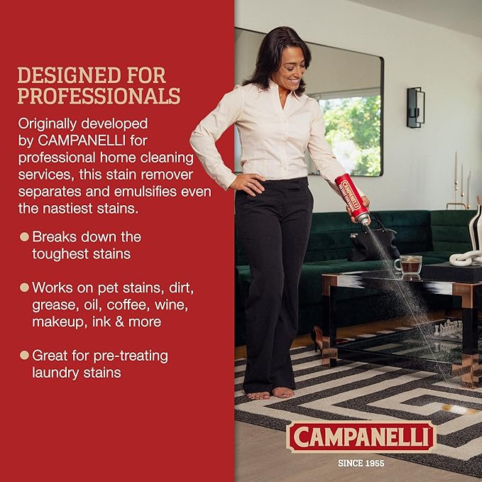 Campanelli Pro Series Stain Remover - 18oz Aerosol - Point & Spray Carpet Cleaner, Spot Remover, Great For Pet Stains & Odors, Upholstery, Fabrics, & More