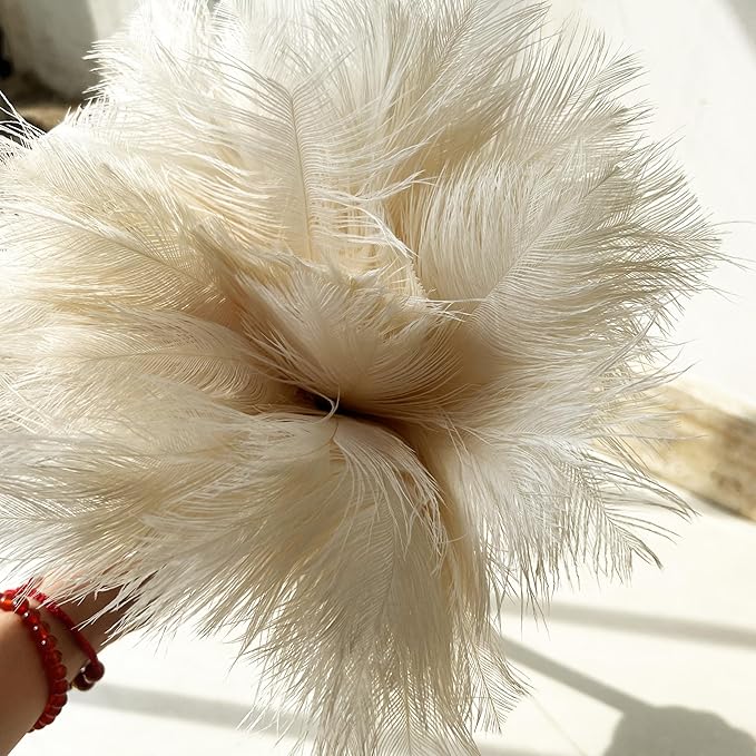 19.7 Inch Ostrich Feather Duster – Soft Dusting Brush for Home, Office, and Furniture Cleaning (Off White)