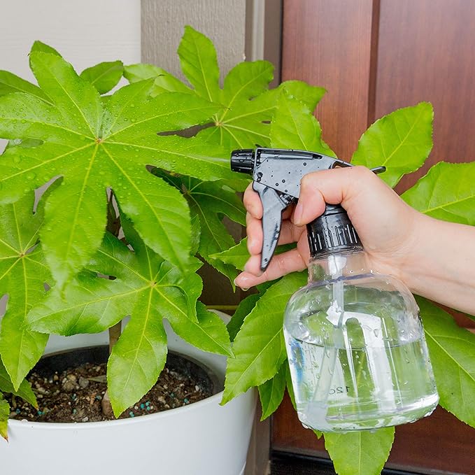 Youngever 12 Pack Empty Plastic Spray Bottles, Spray Bottles for Hair and Cleaning Solutions (12 Ounce)