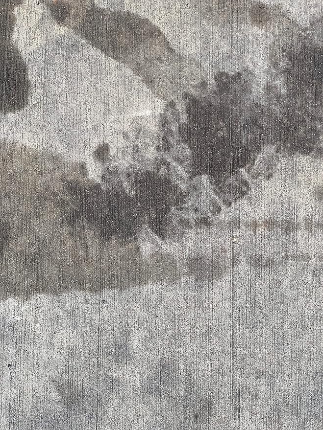 Prosoco Oil & Grease Stain Remover (1-Quart)