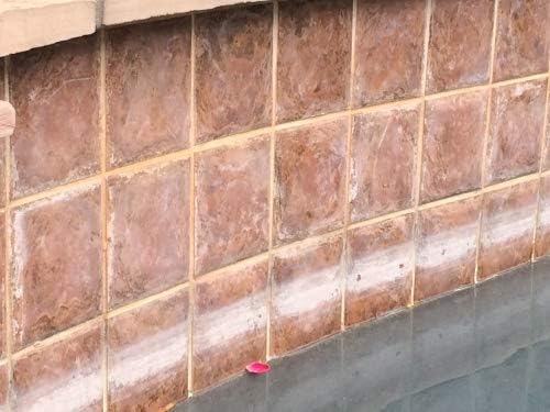 Piranha Water Swimming Pool Stain Remover and Descaler - Hard Water Stain and Calcium Removal Gel - Multi-Surface Scale Remover - 32 oz