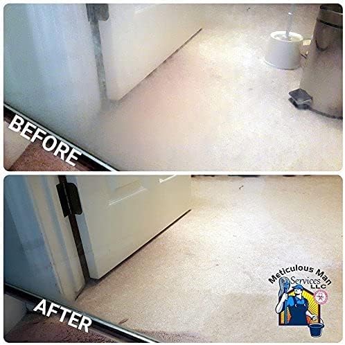 Bring It On Cleaner Hard Water Stain Remover - Shower Door, Windows, Fiberglass, Tubs, Chrome Tile & Grout Cleaner 4 Ounce (3 Pack)