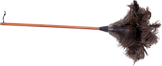 Redecker Ostrich Feather Duster with Varnished Wooden Handle, 35-3/8-Inches