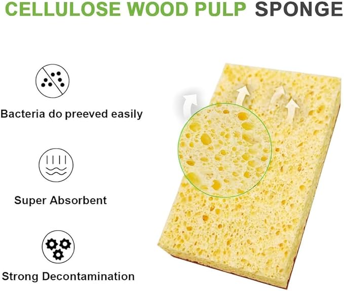Eco Sponges – Coconut & Cellulose Kitchen Sponges, Biodegradable, Compostable, Plastic-Free Cleaning Scrubbers (12 Pack)