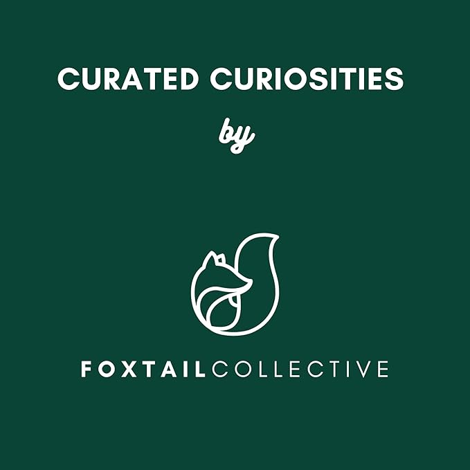 Fels-Naptha Laundry Detergent Bar Soap and Stain Remover Bundle - Includes 2 (5-ounce) Fels Naptha Laundry Bar, Eco Bamboo Laundry Scrub Brush, DIY Laundry Detergent Recipe by FOXTAIL COLLECTIVE