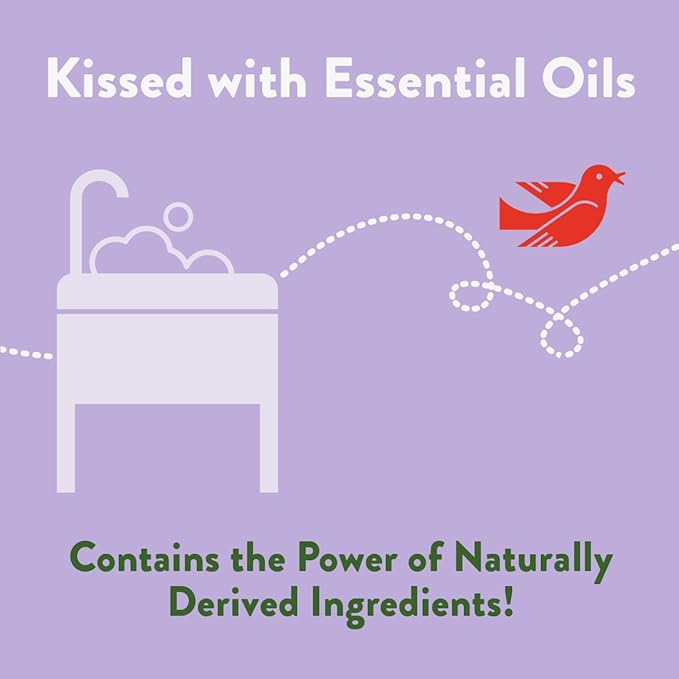 Rebel Green Natural 16 oz All-Purpose Cleaning Spray with 64 oz Refill Bottle - Plant-Based Multi-Surface Cleaner for Kitchen, Bath, Countertops and More - Lavender & Grapefruit Scent