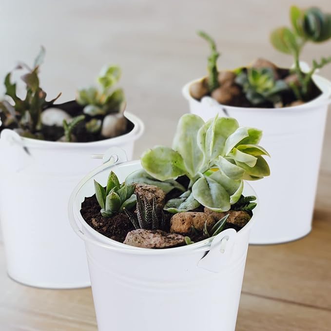 Mini Metal Buckets with Handles Galvanized Buckets 3.15 Inch Mini Container Pails for Metal Tin Plant Holder Pail for Wedding Decoration Party Favor(White,28 Pcs)