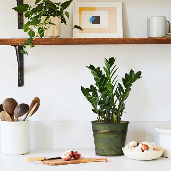 Briful 5PCS Galvanized Buckets 7.1In Rustic Farmhouse Metal Bucket Galvanized Flower Bucket Plants Pot, Home Indoor Outdoor Decor Tin Planter, Bronze