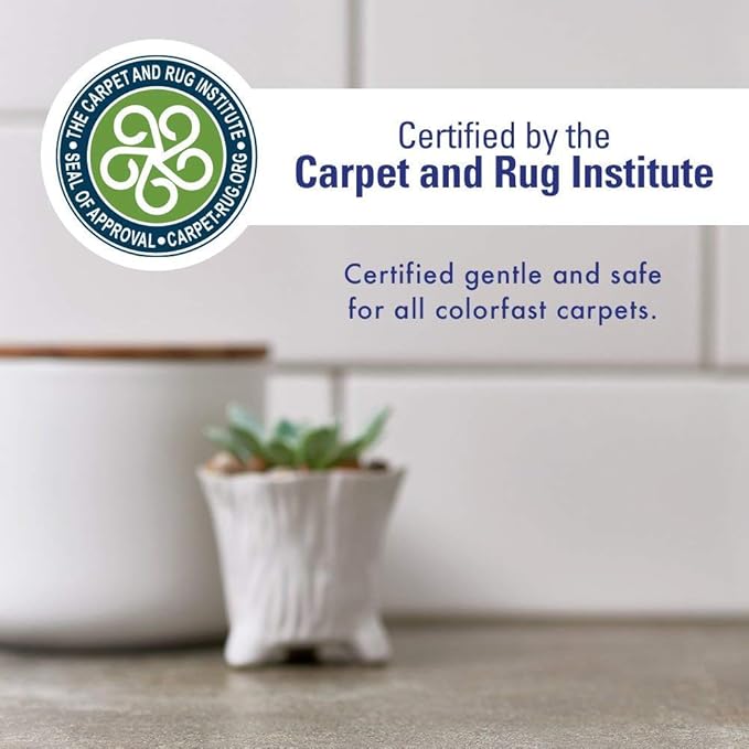 Rocco & Roxie Oxy Stain Remover - Oxygen Powered Carpet Cleaner Spray - Pet Stain Remover for Carpet, Spot Cleaner for Upholstery, Couch, Laundry, Rug, Clothes, Car Seat, Mattress, Sofa, and More