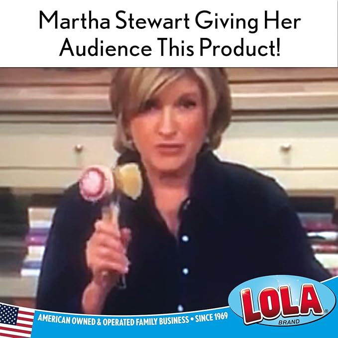 LOLA Replacement Large Head for The Original Tampico Vegetable & Dish Brush, Birchwood & Poly Bristles, Reusable & Washable, 1 Pack