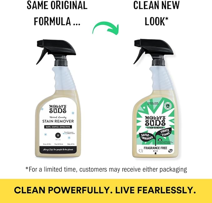 Molly's Suds Stain Remover Spray | Gentle Yet Powerful, Great for Baby & Pet Stains | Clean, Simple Ingredients (Fragrance Free) (16 Fl Oz (Pack of 2))