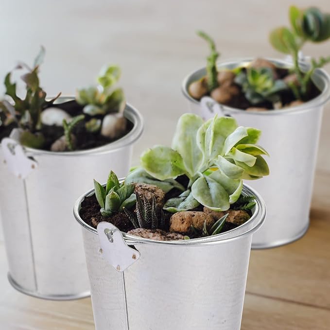 Mini Metal Buckets with Handles Galvanized Buckets 3.15 Inch Mini Container Pails for Metal Tin Plant Holder Pail for Wedding Decoration Party Favor(Silver,28 Pcs)