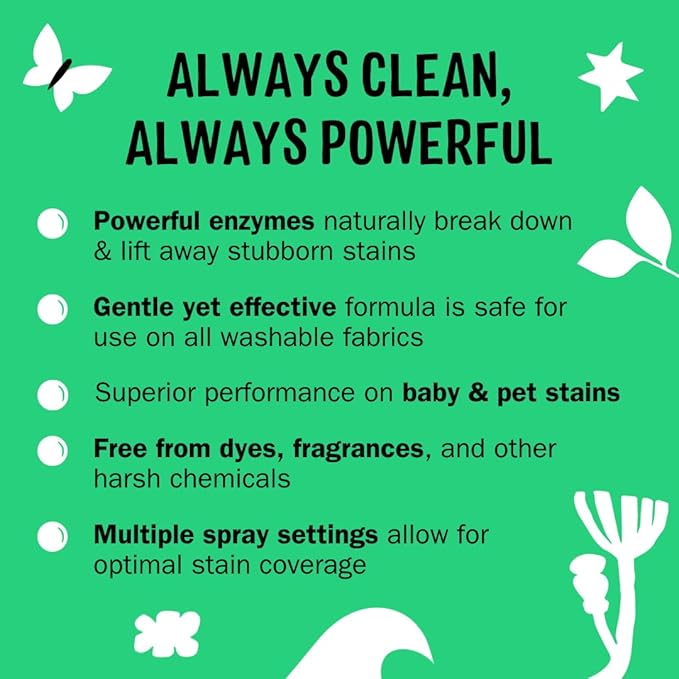 Molly's Suds Stain Remover Spray | Gentle Yet Powerful, Great for Baby & Pet Stains | Clean, Simple Ingredients (Fragrance Free) (16 Fl Oz (Pack of 2))