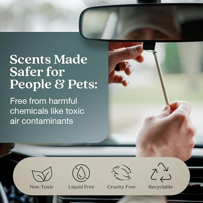 Enviroscent Non-Toxic Car Air Freshener | Natural Car Air Freshener | Essential Oil Diffuser | Car Scent Lasting Over 480 Days | 8 Packs of 2 Hanging Auto Stix (Black Vanilla & Mandarin)