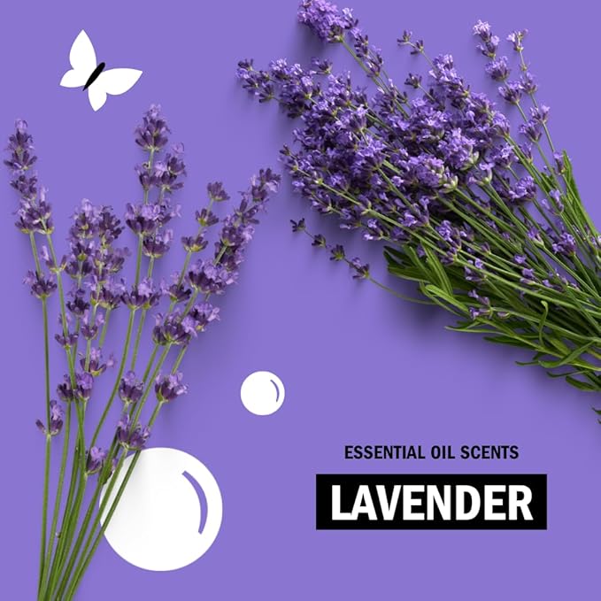 Molly's Suds Fabric Softener Dryer Sheets for Sensitive Skin | Plant-Based Static Reducer, Plastic-Free Packaging | Bundle of 2, Lavender (240 Sheets Total)