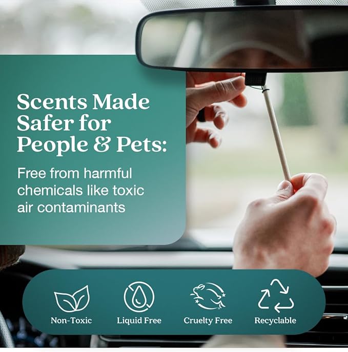 Enviroscent Non-Toxic Car Air Freshener (Seaside Coconut & Verbena) Natural Car Air Freshener | Essential Oil Diffuser | Car Scent Lasting Over 180 Days | 3 Packs of 2 Hanging Auto Stix