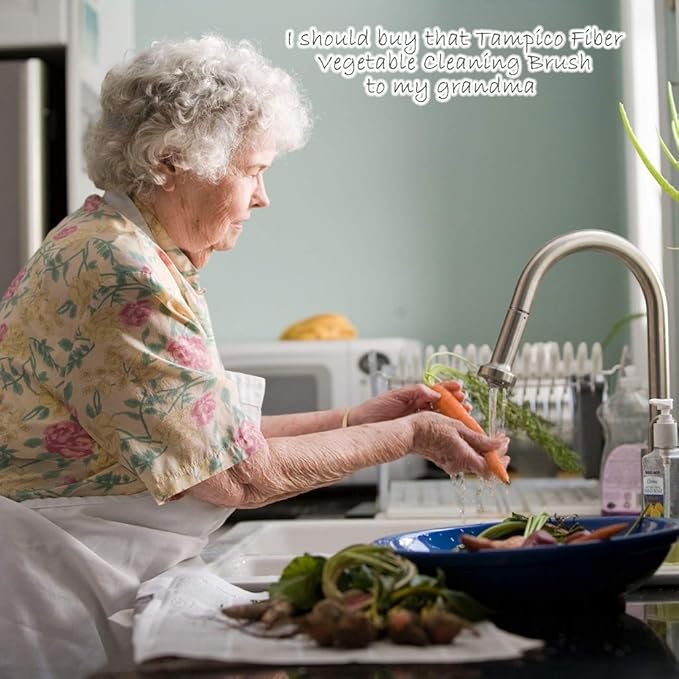 Dish Brush with Wooden Handle, Natural Kitchen Brush for Dishes Vegetable, Pots and Pans, Tampico Fiber Bristles Scrubber, Extra 3 Pack Replacement Head Included