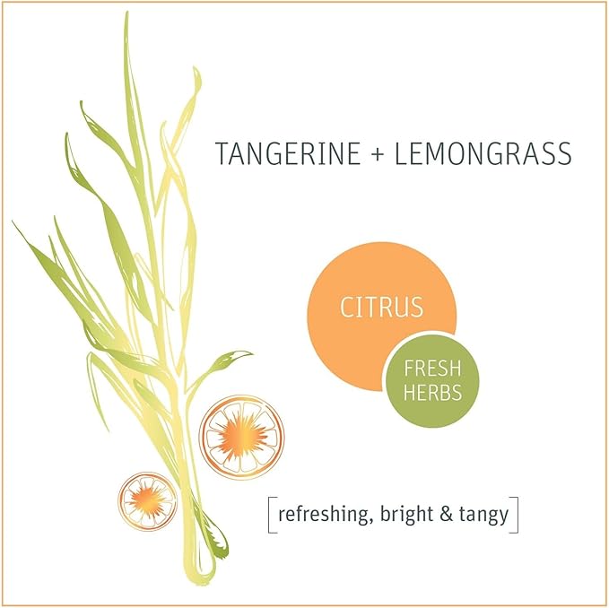 Grab Green Kitchen Power Degreaser, 16 Ounce (Pack of 3), Tangerine Lemongrass Scent, Biodegradable, Plant and Mineral Based, Cuts Through Tough Grease and Grime