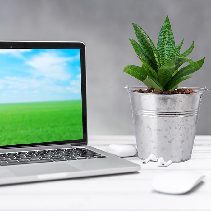 20 Pack 4.5 x 5.1 x 2.6 inch Metal Mini Buckets, Elegant Galvanized with Handles, Tin, Small, Mini Metal Pail for Party Favors, Crafts, Garden & Beach