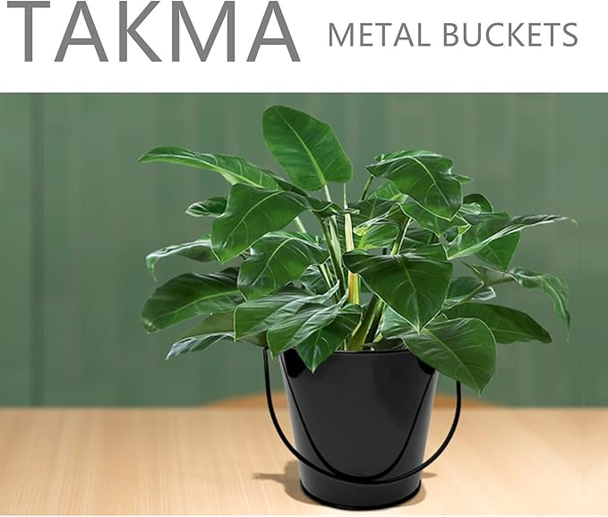 Metal Buckets with Handle - 6 Pack 4.3 Inch Small Iron Pail, Easter Bucket,Pencil Holder and Flower Pots,Craft Supply Holders for Events,School Storage and Party. (Black, 4.3" Top)