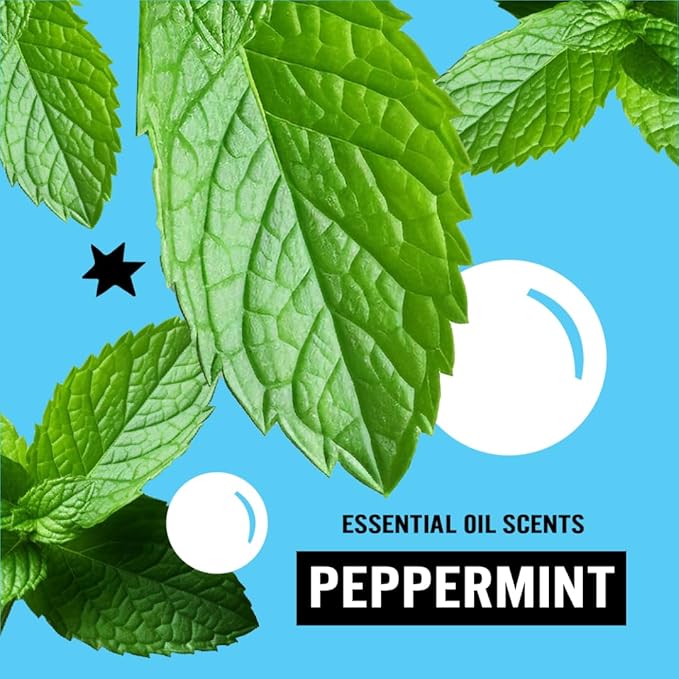 Molly's Suds Original Laundry Detergent Powder | Clean Laundry Detergent Powder for Sensitive Skin | Simple, Effective Ingredients, Stain Fighting | 240 Load (Peppermint)