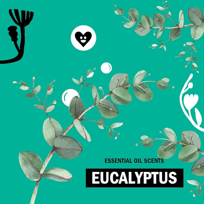 Molly's Suds Original Laundry Detergent Powder | Clean Laundry Detergent Powder for Sensitive Skin | Simple, Effective Ingredients, Stain Fighting | 120 Load (Eucalyptus)