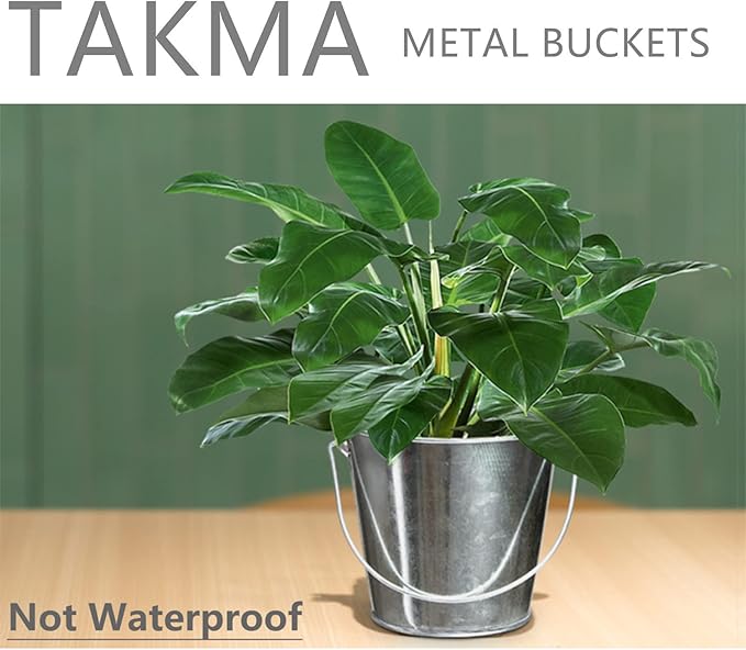 Galvanized Tin Metal Buckets with Handle - 6 Pack 4.3 Inch Iron Pail, Easter Bucket,Pencil Holder and Flower Pots,Craft Supply Holders for Events,School Storage and Party. (Silver, 4.3" Top)