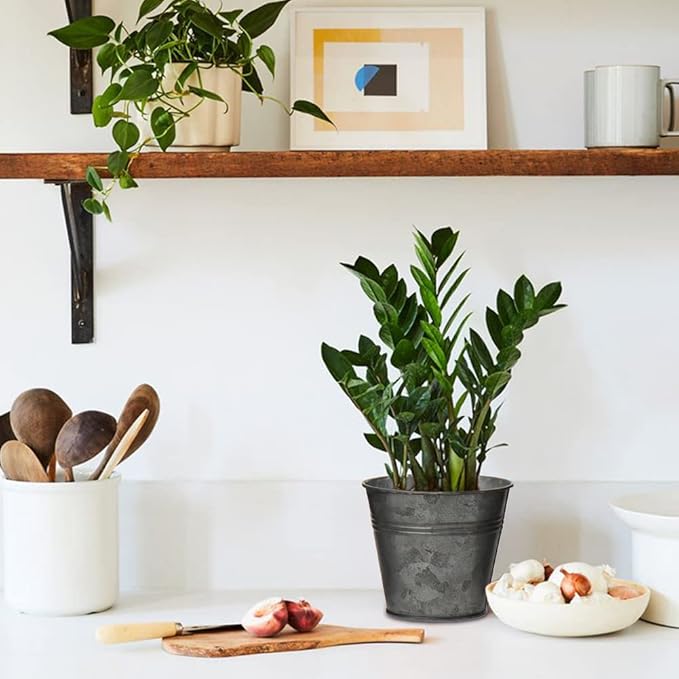 Briful 5PCS Galvanized Buckets 7.1In Rustic Farmhouse Metal Bucket Galvanized Flower Bucket Home Indoor Outdoor Decorative Tin Planters