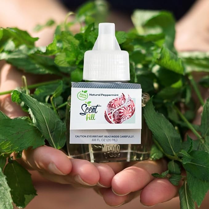 Scent Fill 100% Natural Peppermint Plug in Air Freshener, Scented Oil Refills, 2 Refills + Diffuser