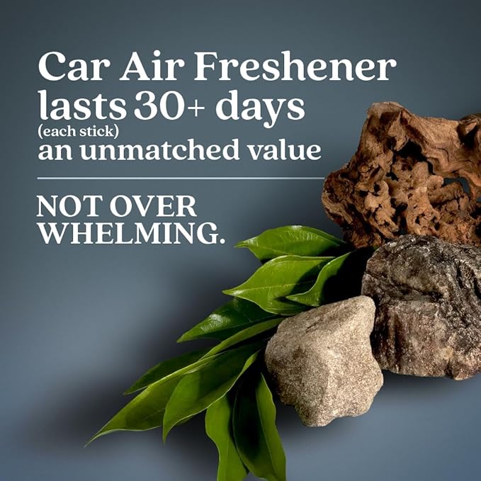 Enviroscent Non-Toxic Car Air Freshener | Natural Car Air Freshener | Essential Oil Diffuser | Car Scent Lasting Over 480 Days | 8 Packs of 2 Hanging Auto Stix (Coastal Storm & Teakwood)