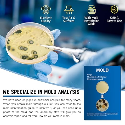Mold Test Kit for Home -DIY Mold Testing Kit with 12 Individual Tests-Black Mold Detector-Indoor Air Quality Tester-Mold Identification Guide-Free Lab Analysis-Fast and Reliable Mold Detector at Home
