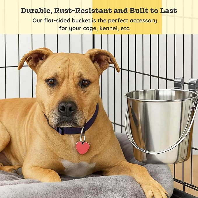 6 Quart Stainless Steel Flat Sided Bucket with Dual Hooks | Durable Food & Water Bowl for Dogs Cats Goat Sheep & Livestock | Fits kennel Cage Critter Crate Hanging Pet Pail | Multipurpose
