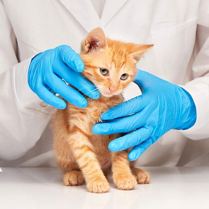 Jointown Basic Medical Blue Nitrile Exam Gloves - Latex-Free & Powder-Free - NGPF7001 (box of 100), Small