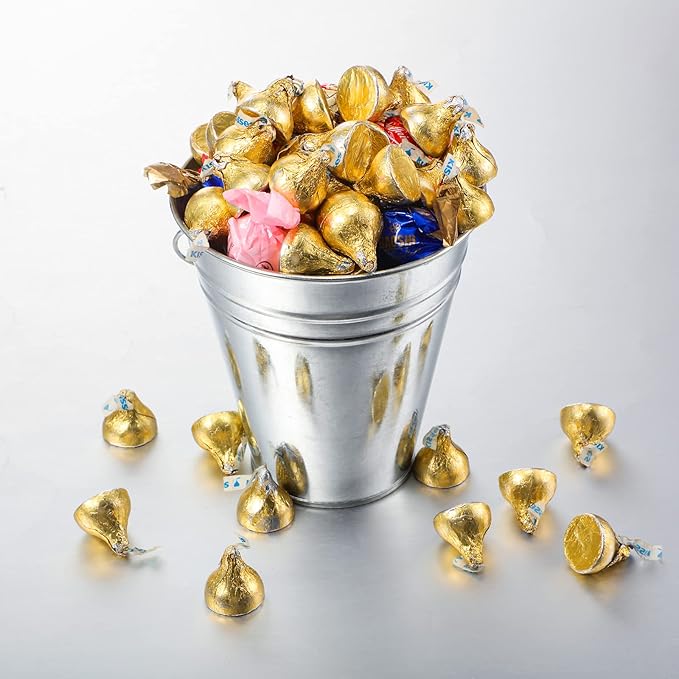 Sadnyy 12 Pack Metal Buckets with Handle, Galvanized Bucket 4.5 x 5 Inch Basket Bucket Party Supplies, Crafts for Christmas Halloween Candy Bars Vase Crafts(Silver)