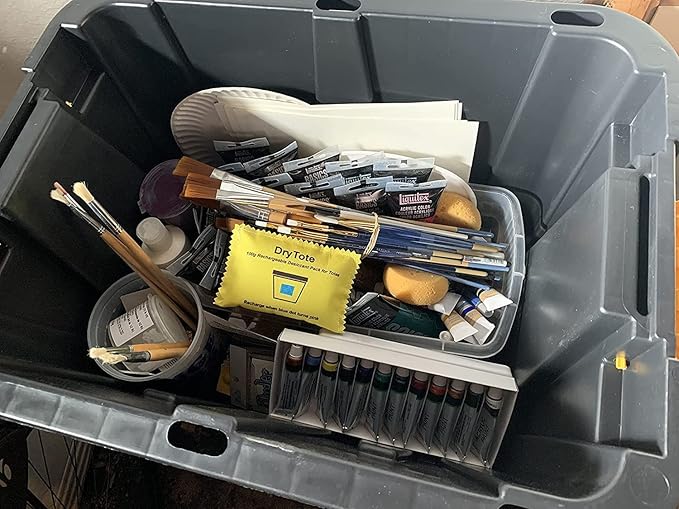 100g Rechargeable Desiccant Pack of 10 - Moisture Absorbing Bag - Silica Gel Desiccant Dehumidifier for Storage Bins and Totes