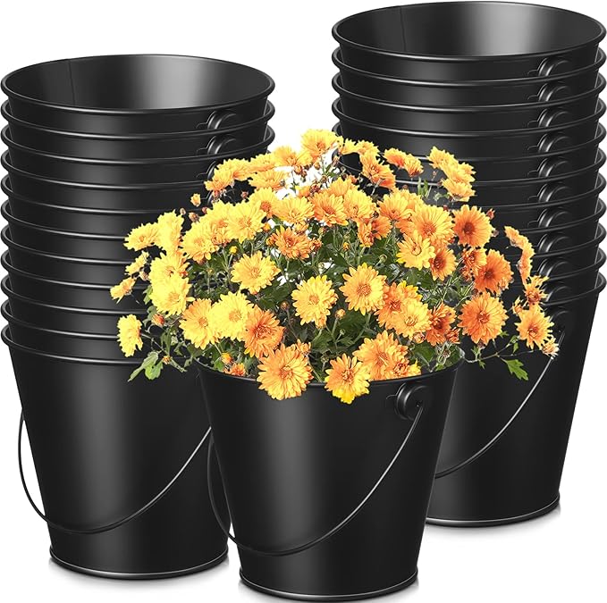 24 Pcs Mini Metal Buckets Black Small Bucket Galvanized Pail Iron Flower Pot Pencil Holder with Handles for Halloween, Christmas, Party Favors, Black Wedding Decor, Craft, Candy Bars, Vase, Classroom
