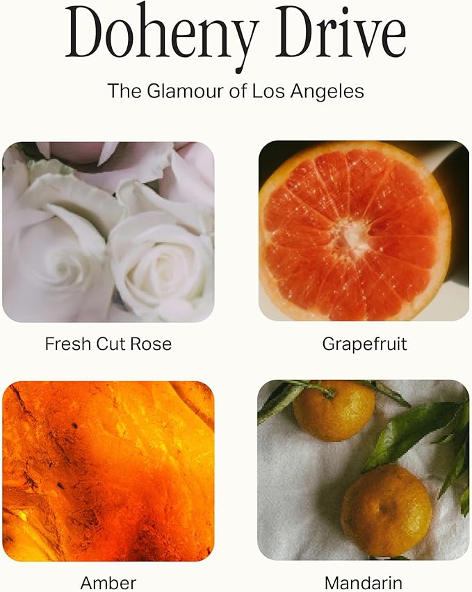 Preston Lane Signature Set, Includes All Purpose Cleaner, Dish Soap, Hand Wash, Hand Cream, & Scented Candle, Doheny Drive