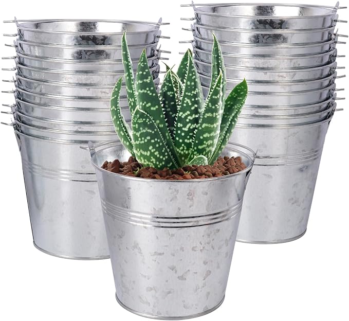 20 Pack 4.5 x 5.1 x 2.6 inch Metal Mini Buckets, Elegant Galvanized with Handles, Tin, Small, Mini Metal Pail for Party Favors, Crafts, Garden & Beach