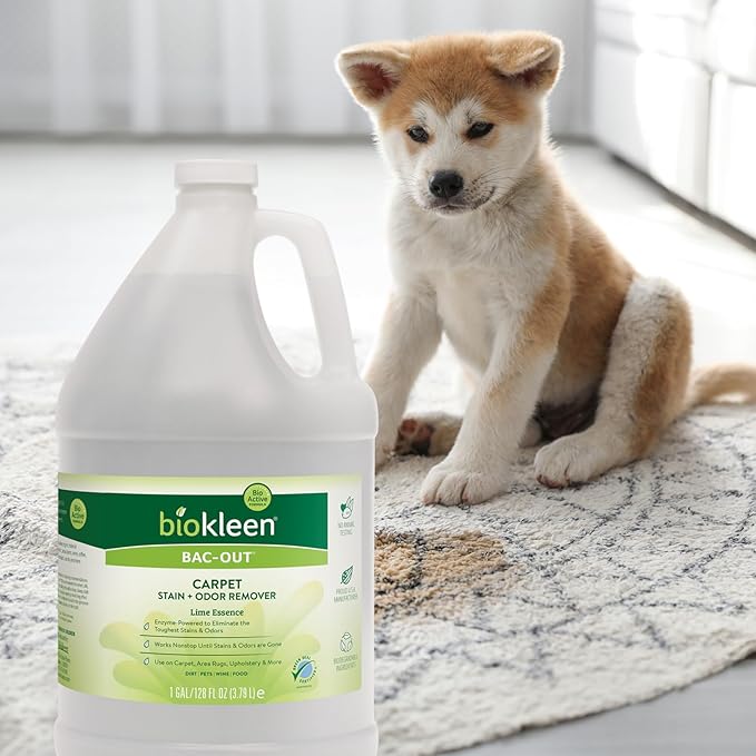 Biokleen Bac-Out Pet Stain Remover - Spray & Gallon Refill - Enzymatic, Natural, Destroys Stains & Odors Safely, for Pet Stains on Carpets - Eco-Friendly, Plant-Based